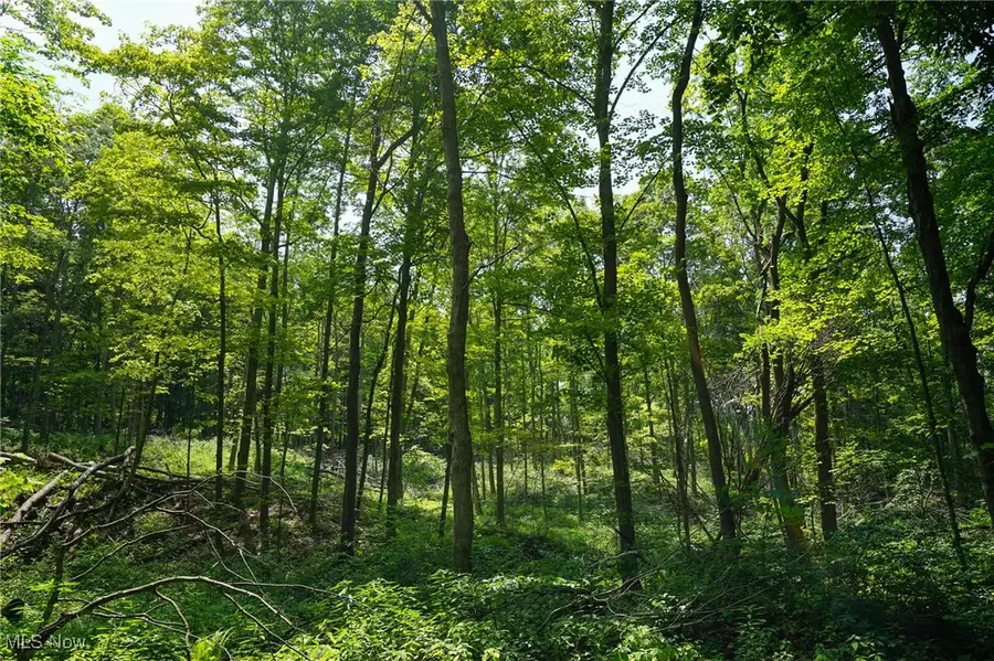 Township Rd 51, Somerset, OH 43783 - Image #3