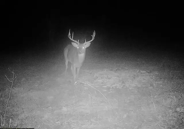 Plum Road, Kimbolton, OH 43749 - Image #3