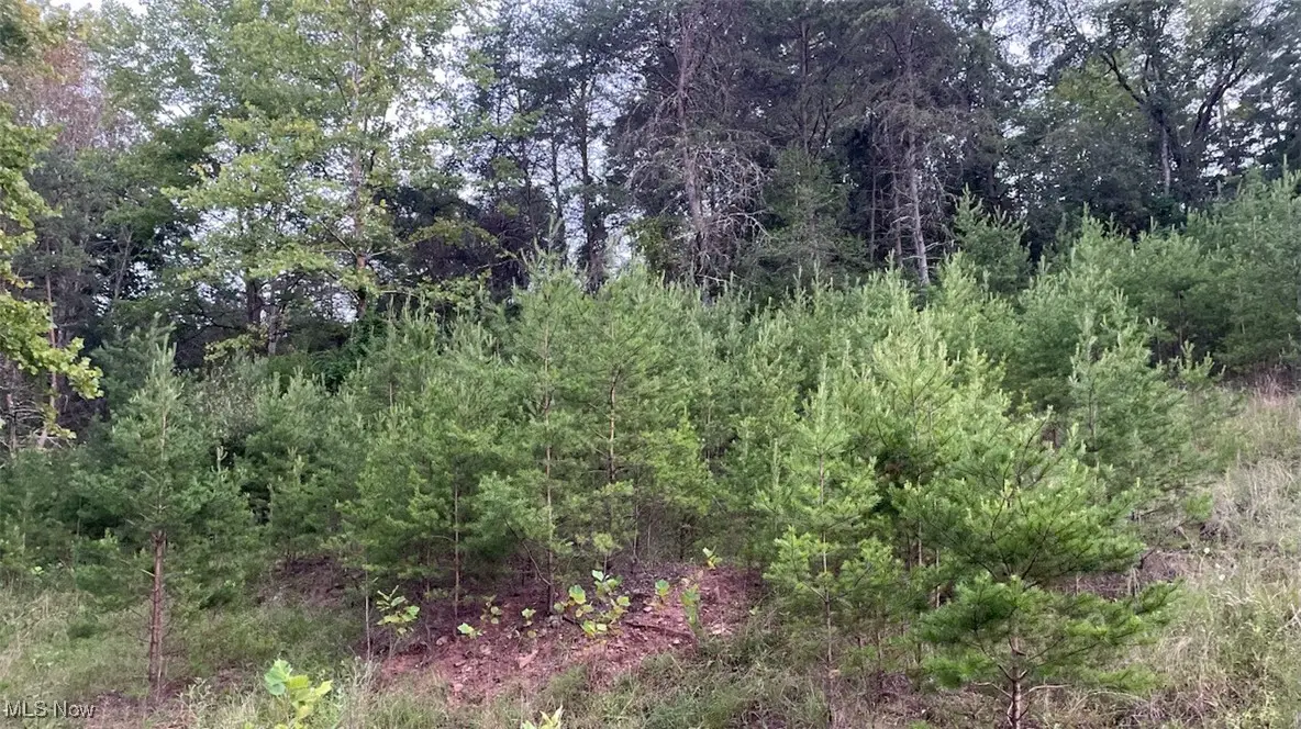 210 Farrow Hill Road, Davisville, WV 26142 - Image #1