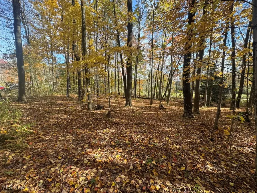 Infirmary Road, Mantua, OH 44255 - Image #2