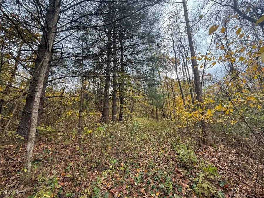 Pearl Wood Rd, Albany, OH 45710 - Image #3