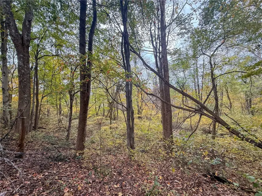 Pearl Wood Rd, Albany, OH 45710 - Image #2