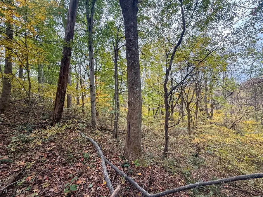 Pearl Wood Rd, Albany, OH 45710 - Image #3