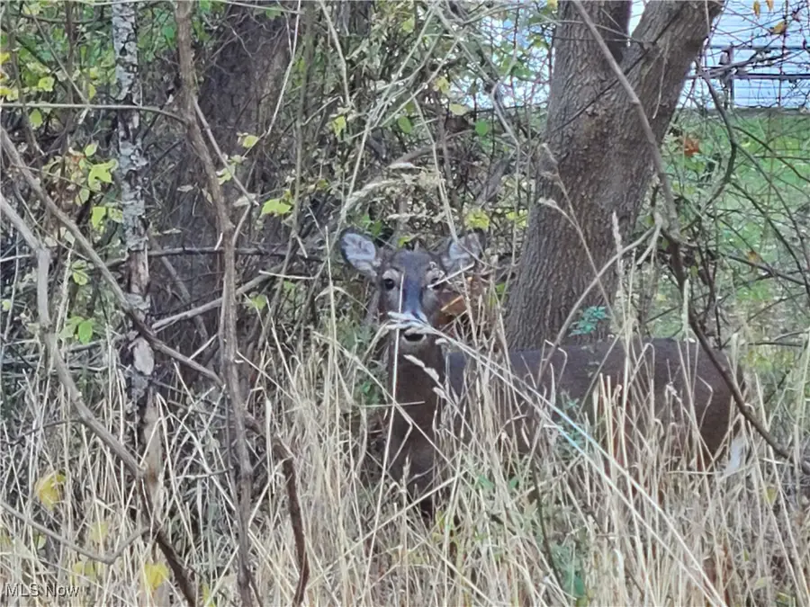 6318 First Avenue, Kent, OH 44240 - Image #3