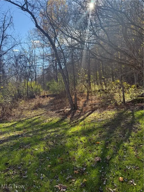 Hebron Road, Saint Marys, WV 26170 - Image #2