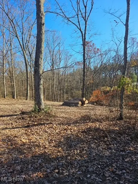 0 St. Rt. 339, Belpre, OH 45714 - Image #1