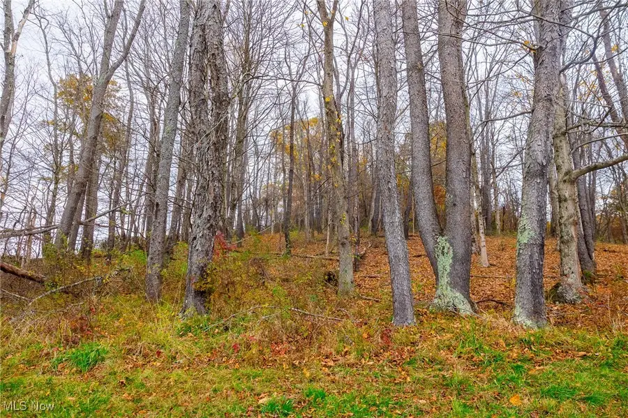 8898 Pleasant Valley Se Road, Uhrichsville, OH 44683 - Image #3