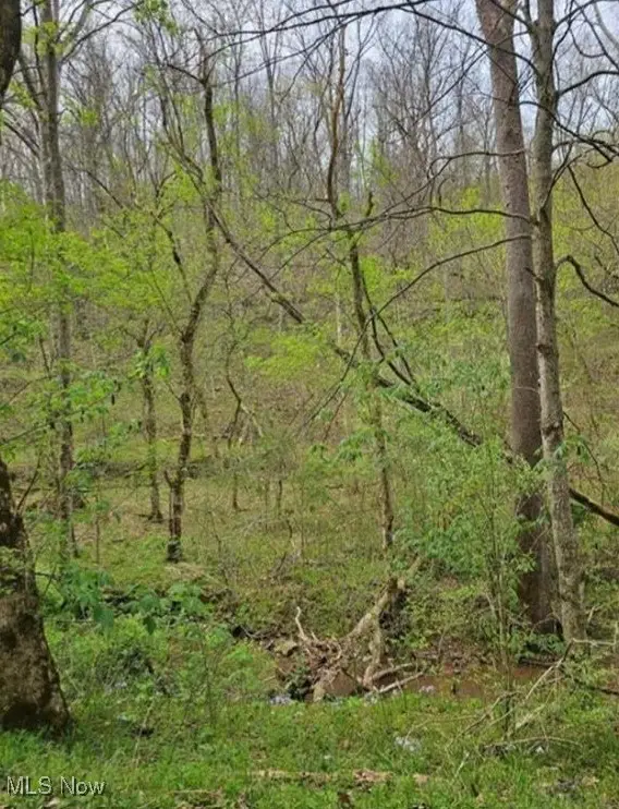 1247 Rocky Branch Road, Looneyville, WV 25259 - Image #3