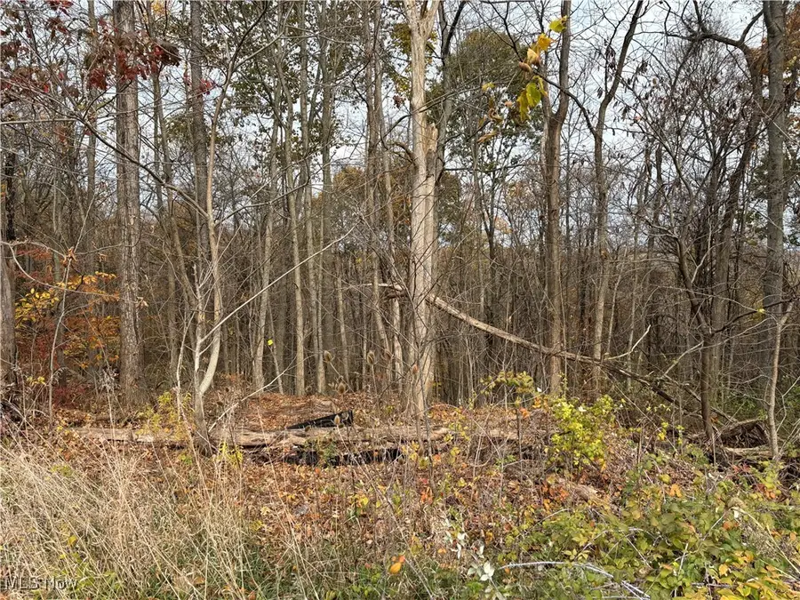 Bloomfield Road, New Concord, OH 43762 - Image #2