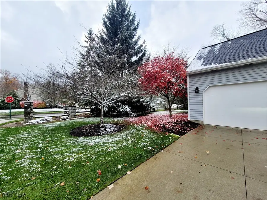 10505 White Ash Trail, Twinsburg, OH 44087 - Image #2
