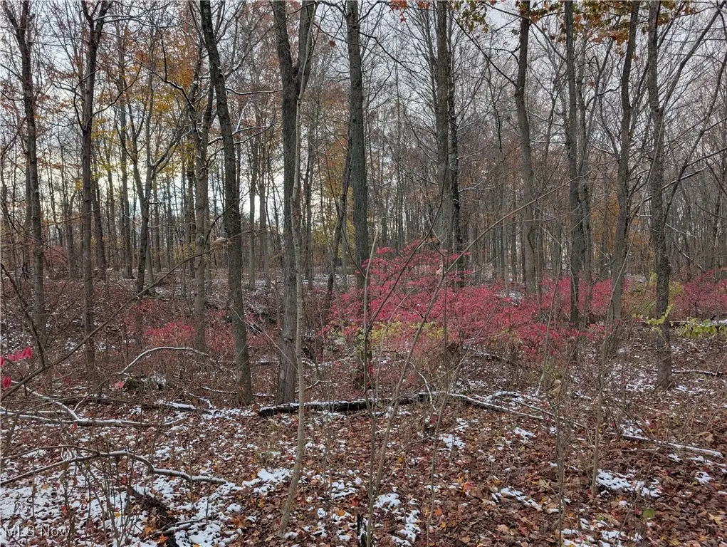 Greenwich Road, Lodi, OH 44254 - Image #1