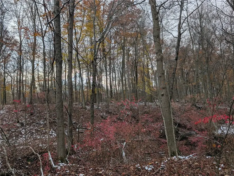 Greenwich Road, Lodi, OH 44254 - Image #2