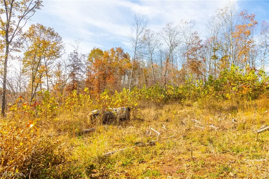 Hambel Road, Malta, OH 43758 - Image #3