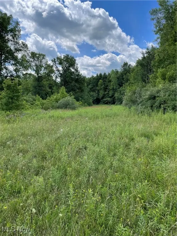 Cowley Road, Columbia Station, OH 44028 - Image #2