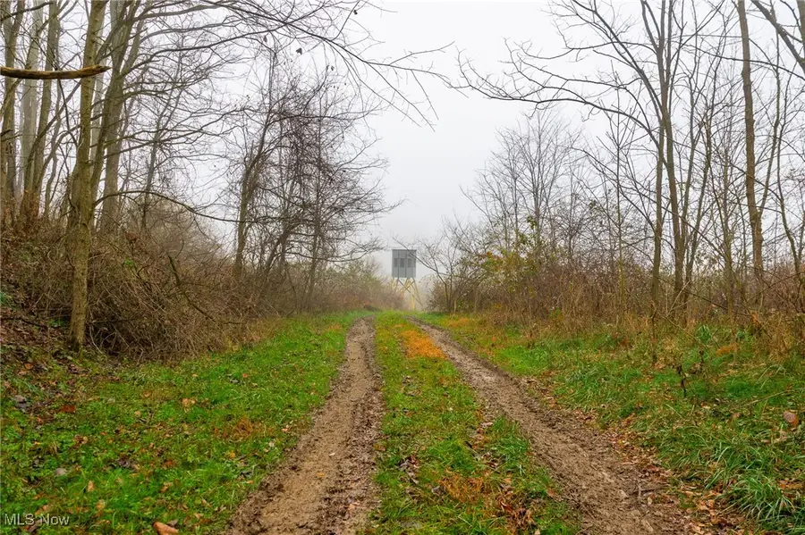 152 County Road 3, Rayland, OH 43943 - Image #3