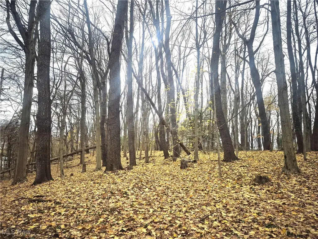 Parcel 1 Auburn Road, Chardon, OH 44024 - Image #1