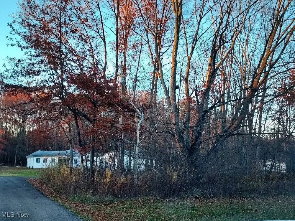 Manchester Avenue, Lake Milton, OH 44429 - Image #1