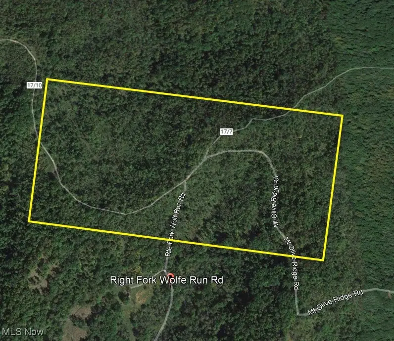 Wolfe Run Road, Belleville, WV 26133 - Image #1