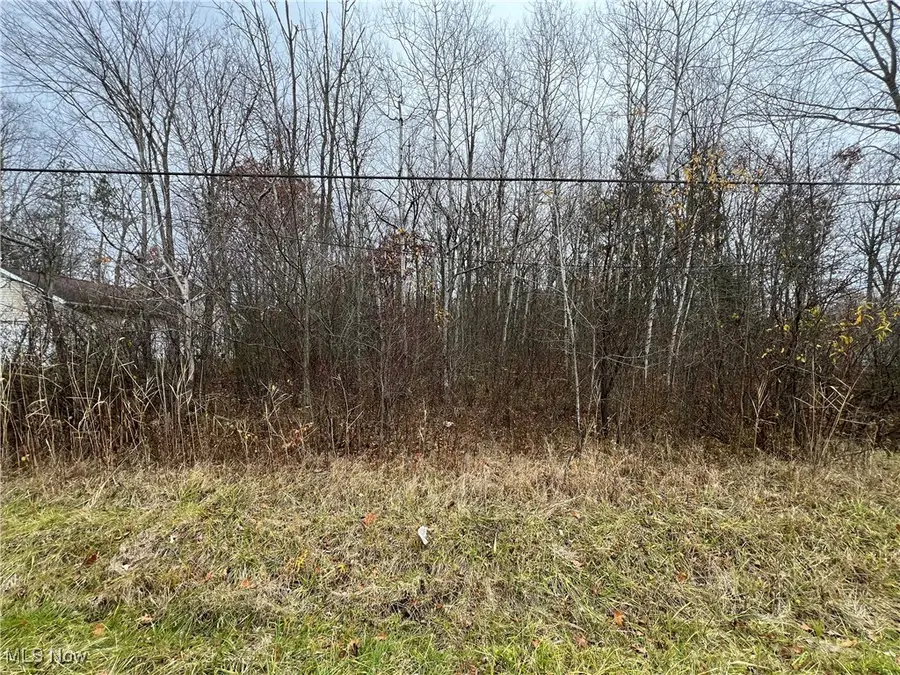 437 Marina Drive, Roaming Shores, OH 44084 - Image #3