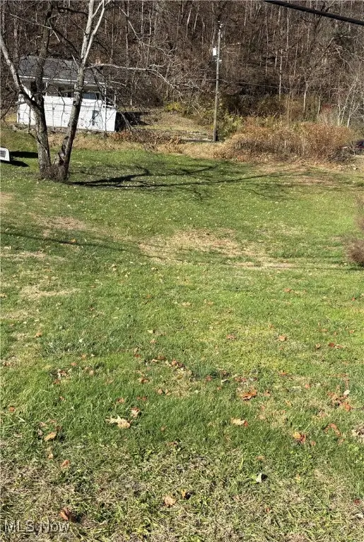 448 Market Street, Clarington, OH 43915