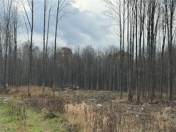 Root Road, Conneaut, OH 44030