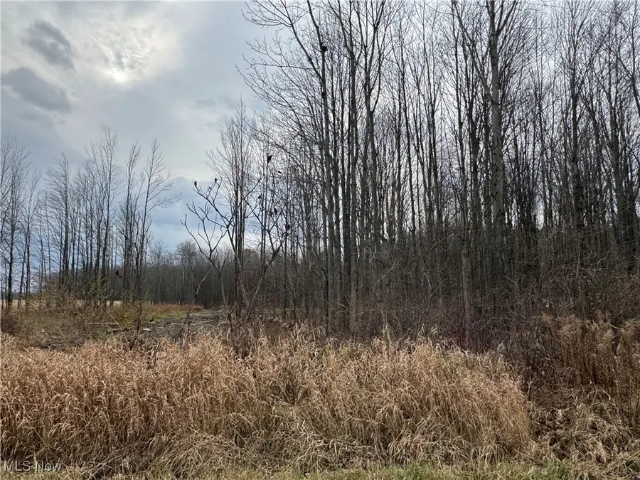 Root Road, Conneaut, OH 44030 - Image #2