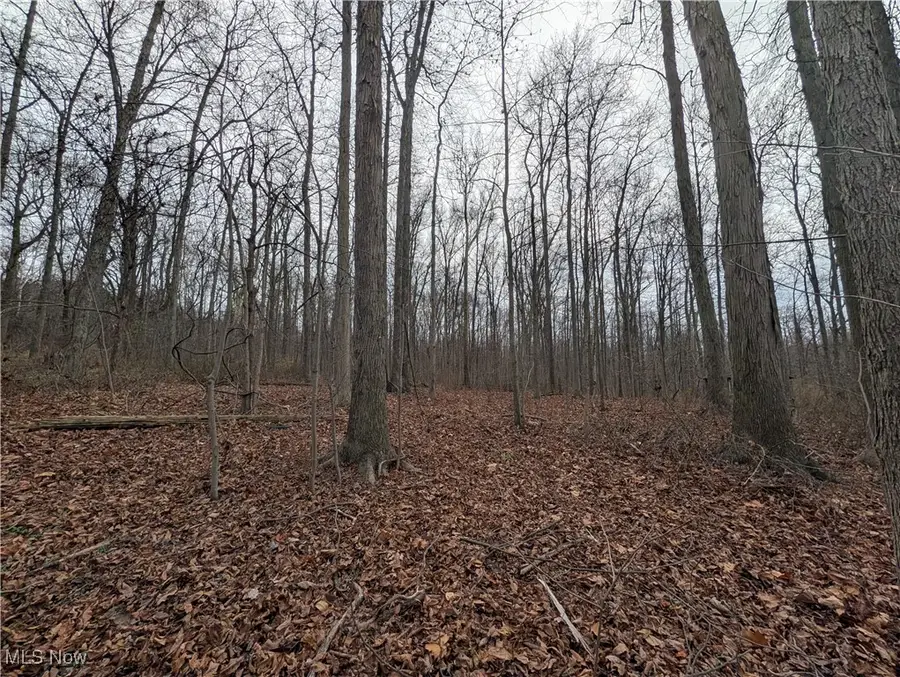 Thwing Road, Chardon, OH 44024 - Image #2