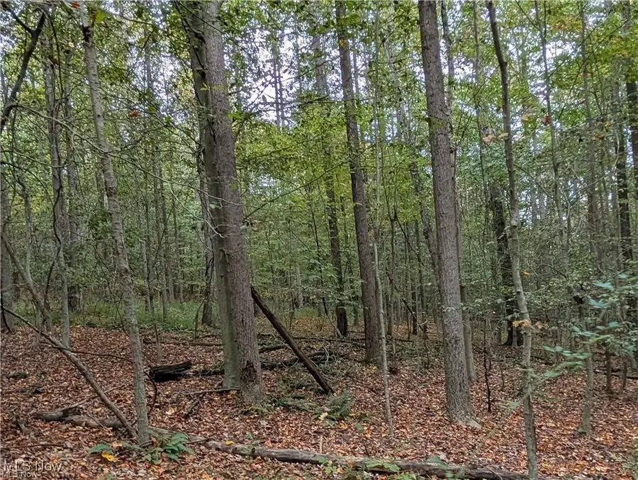 39843 County Road 33, Warsaw, OH 43844 - Image #2