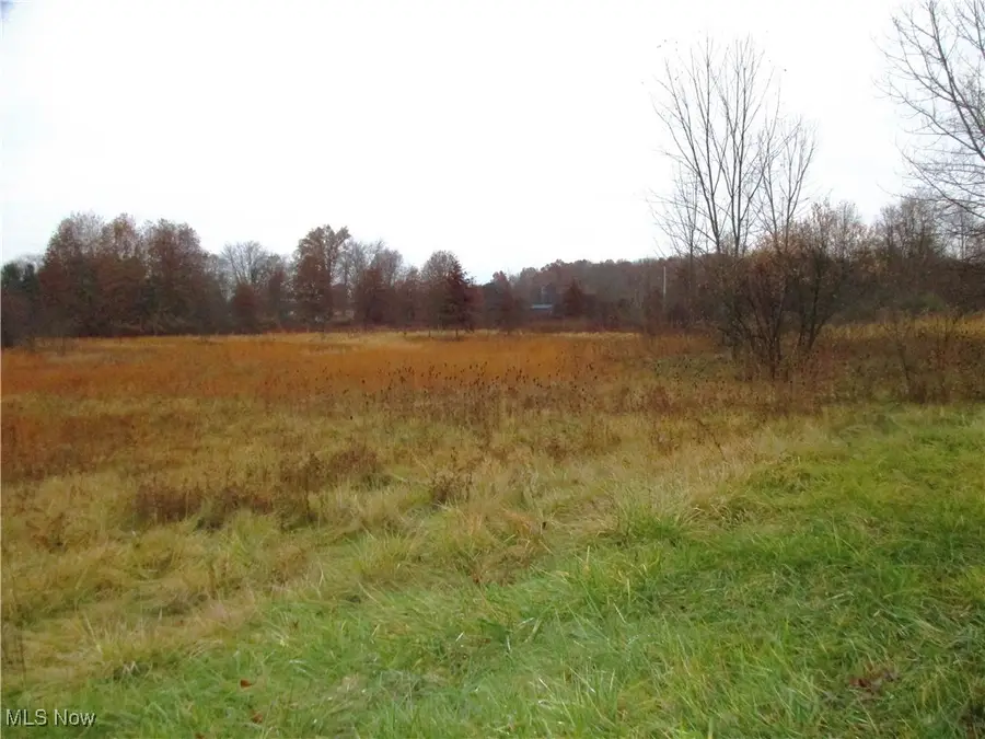 Palmyra Road, Lordstown, OH 44481 - Image #2