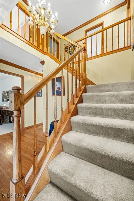 220 Countryside Drive, Medina, OH 44256 - Image #3