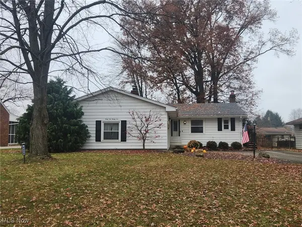 4226 Carlisle Avenue, Youngstown, OH 44511