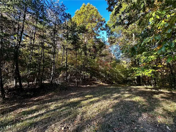 County Line Road, St Marys, WV 26170