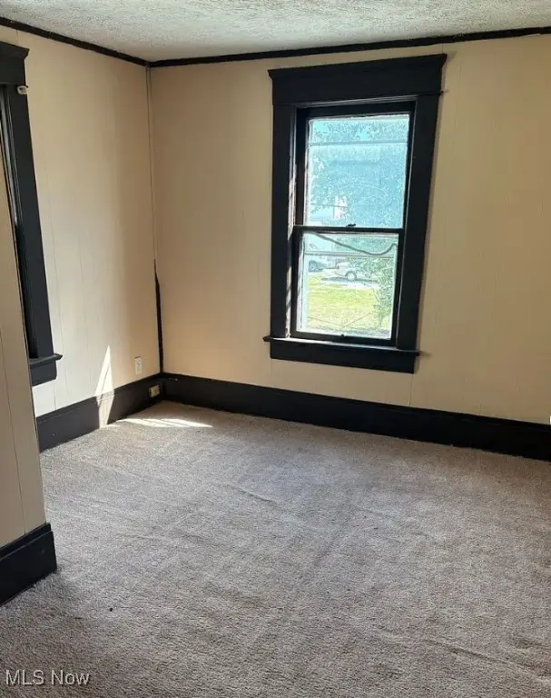 209 Cole Avenue, Akron, OH 44301 - Image #3