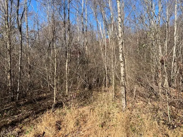 845 Back Run Road, Philo, OH 43771 - Image #2