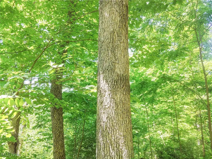 Lot 11 Moss Run Road, Marietta, OH 45750 - Image #2