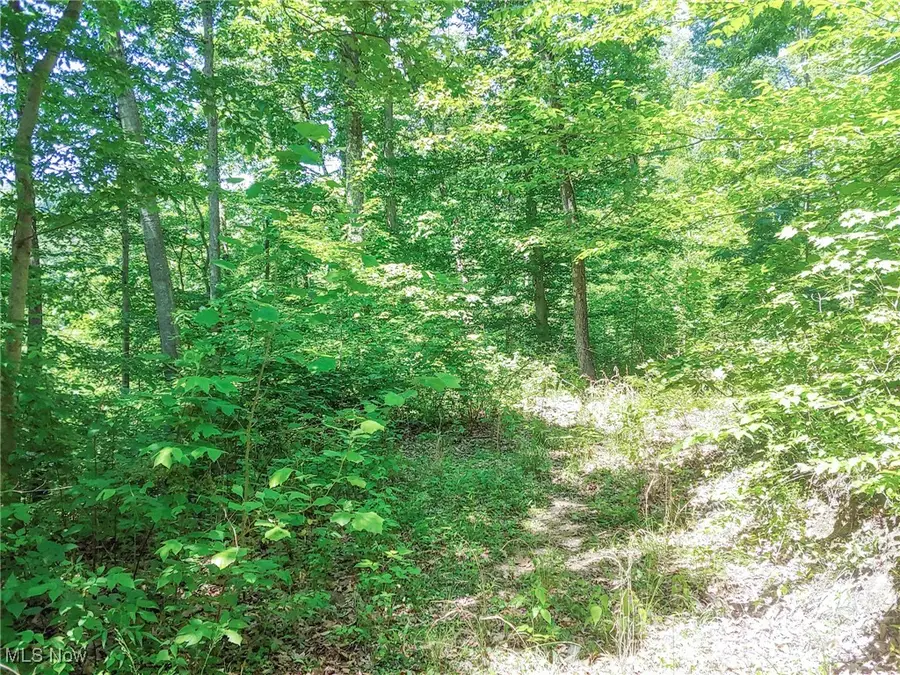 Lot 11 Moss Run Road, Marietta, OH 45750 - Image #3