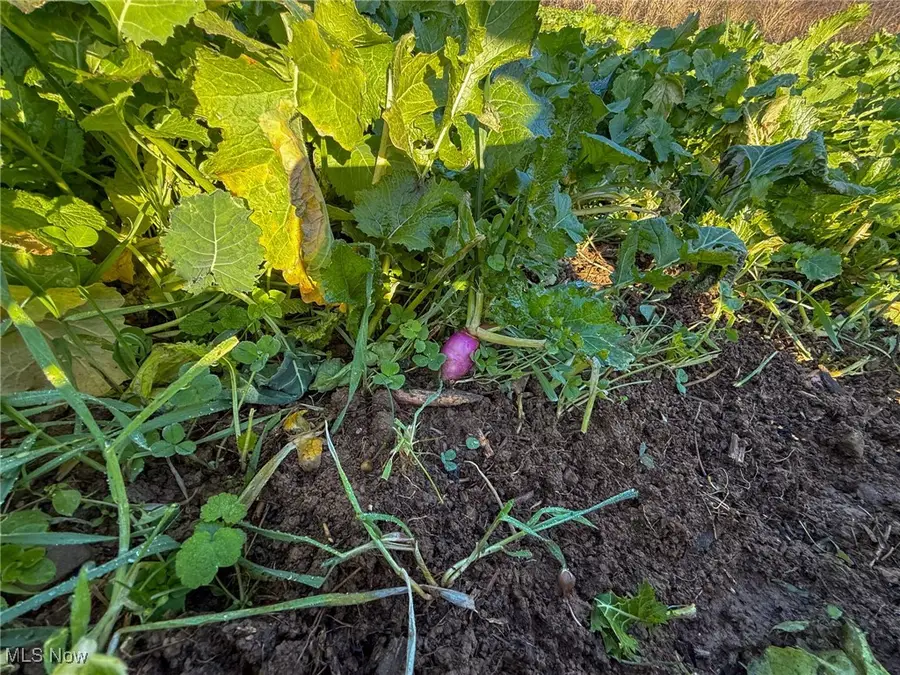 Homestead Dr, New Concord, OH 43762 - Image #2