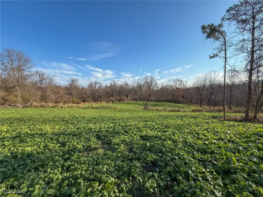 Homestead Dr, New Concord, OH 43762 - Image #3