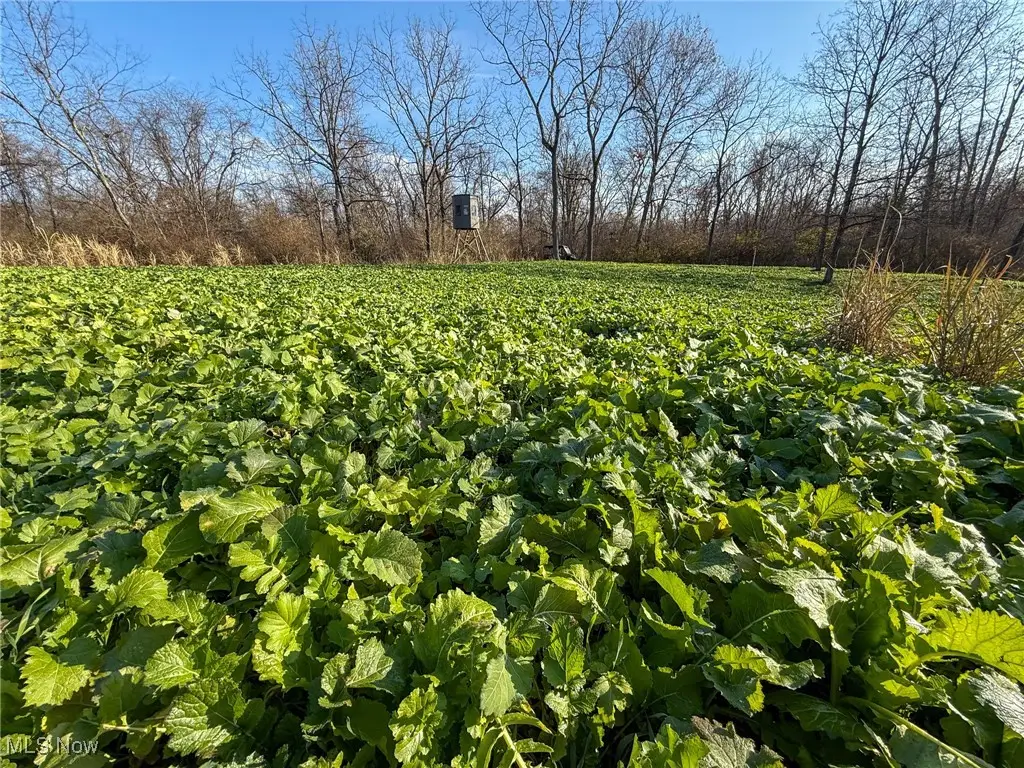 0 Homestead, New Concord, OH 43762 - Image #1