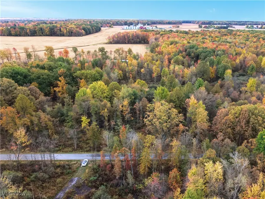 40 Bradley Brownlee Road, Cortland, OH 44410 - Image #3