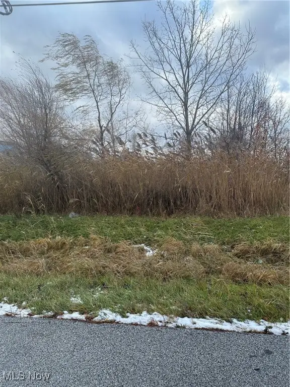 7440 Clover Avenue, Mentor, OH 44060 - Image #2