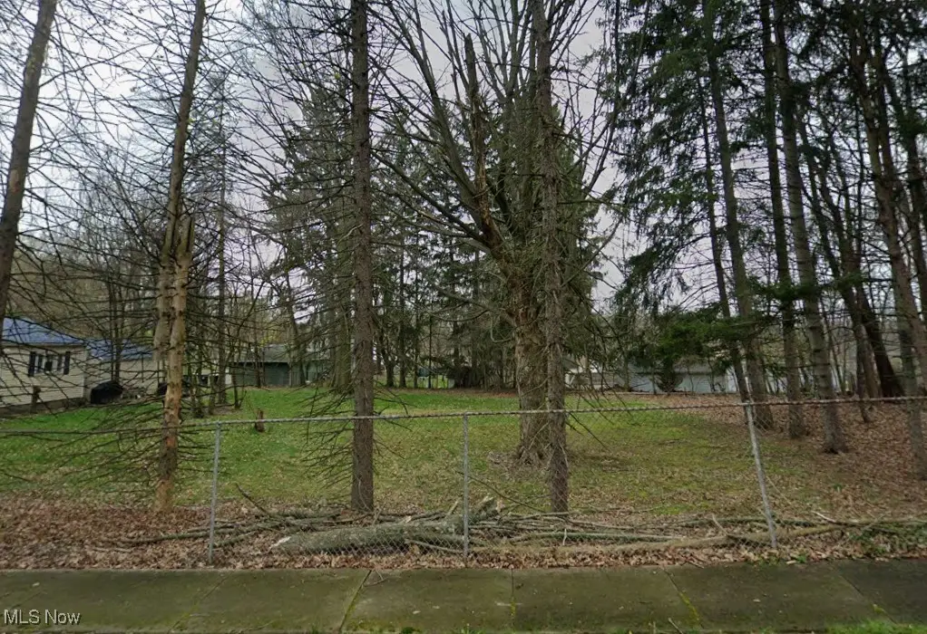 Lot 1 Burbank Avenue, Akron, OH 44305 - Image #1