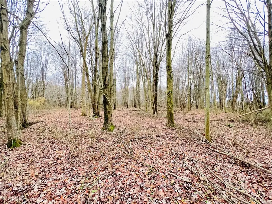 00 Kinsman Knickerson Road, Kinsman, OH 44428 - Image #2