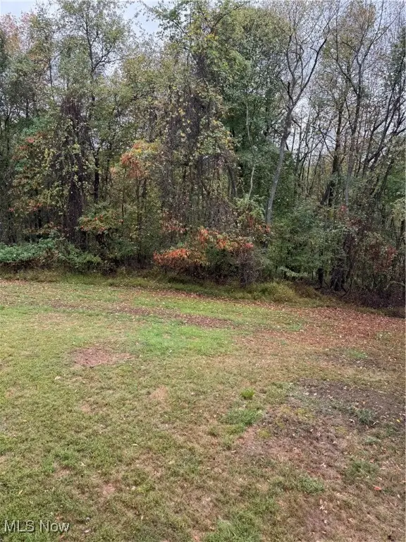 204 Reichart Avenue #3, Wintersville, OH 43953