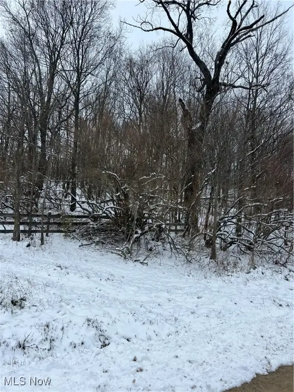 Rice Road, New Philadelphia, OH 44663 - Image #1