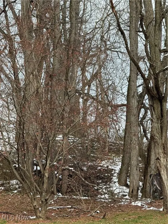 512 Ohio Avenue, Martins Ferry, OH 43935 - Image #3