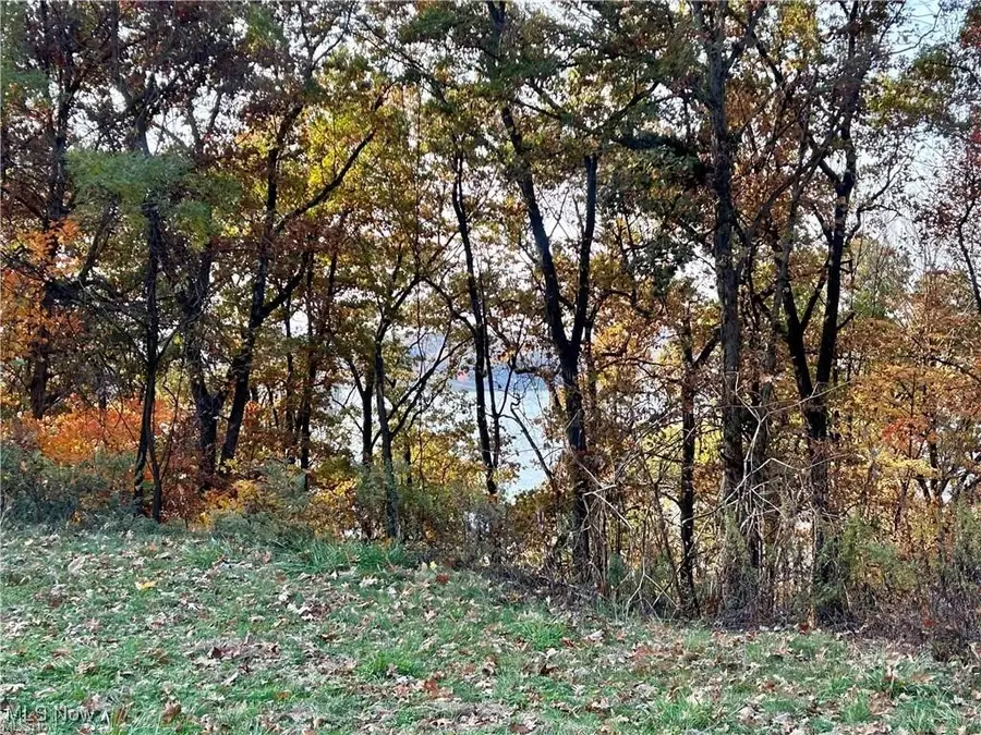 Oneida Trail, Malvern, OH 44644 - Image #3