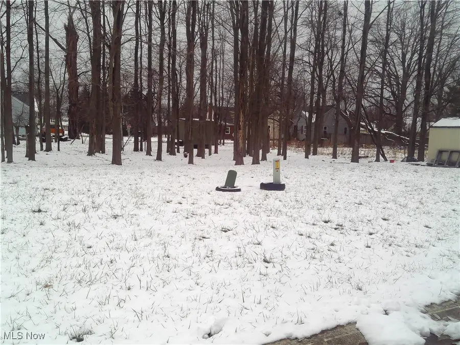 Arianna Avenue, Lorain, OH 44052 - Image #3