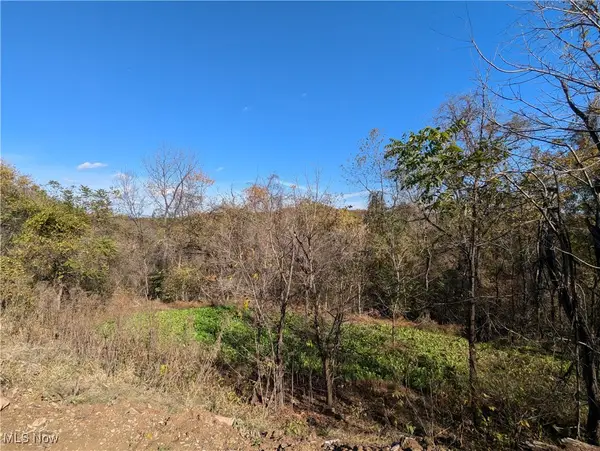 44603 Roy Bower Road, Sardis, OH 43946