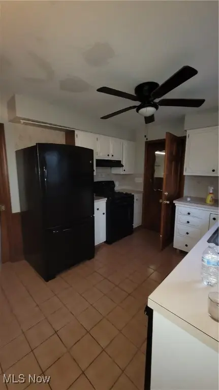 7159 Springdale Drive, Brookfield, OH 44403 - Image #3